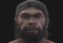 Scientists Reconstruct the Oldest Human Face Found in Morocco