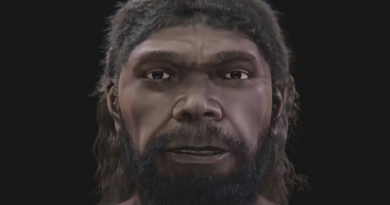 Scientists Reconstruct the Oldest Human Face Found in Morocco