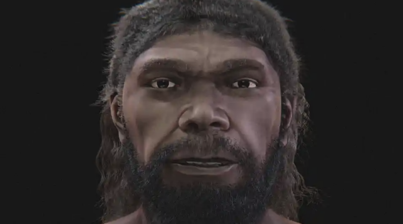 Scientists Reconstruct the Oldest Human Face Found in Morocco