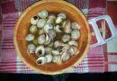 Snails Food in Maghreb