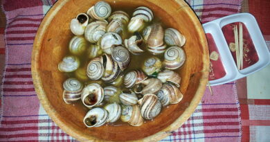 Snails Food in Maghreb