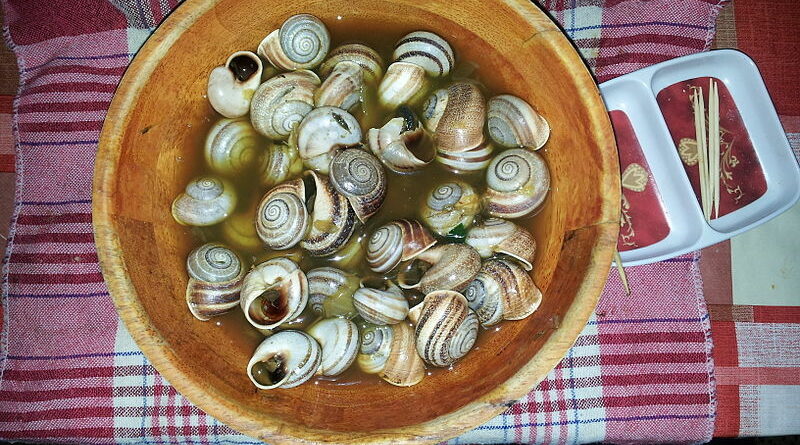 Snails Food in Maghreb