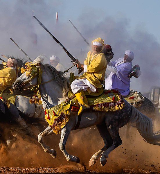 File:Barb Horse tbourida Morocco.jpg